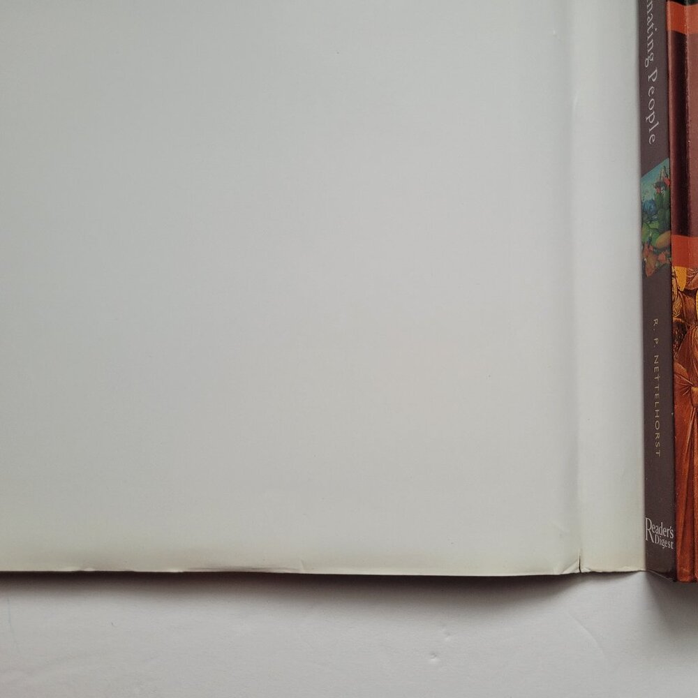 The Bible's Most Fascinating People By R.P Nettelhorst An Illustrated Collection - Picture 5 of 7